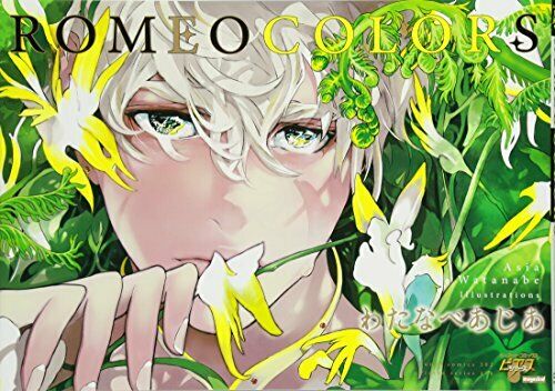 Magazine Magazine Romeo Colors Art Book - Japan Figure