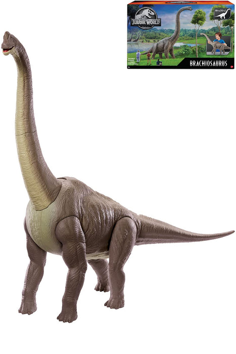 Mattel Jurassic World: Brachiosaurus, japanische Actionfigur mit beweglichem Hals und Schwanz