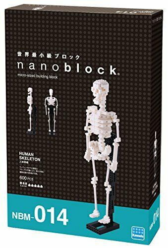 Nanoblock Menschliches Skelett Nbm014