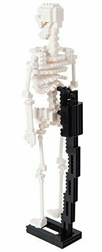 Nanoblock Human Skeleton Nbm014