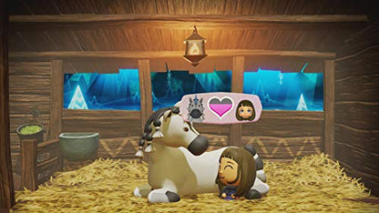 Nintendo Miitopia Nintendo Switch - New Japan Figure 4902370547924 11