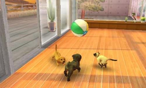 Nintendo Nintendogs + Cats: French Bulldog & New Friends 3Ds Used