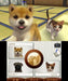 Nintendo Nintendogs And Cats Shiba New Friends 3Ds - Used Japan Figure 4902370518832 1