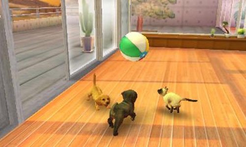 Nintendo Nintendogs And Cats Shiba New Friends 3Ds - Used Japan Figure 4902370518832 2