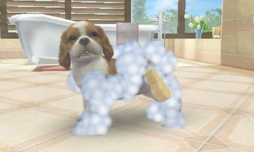 Nintendo Nintendogs And Cats Shiba New Friends 3Ds - Used Japan Figure 4902370518832 4