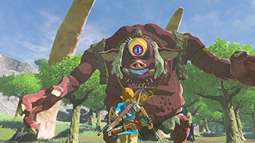 Nintendo The Legend Of Zelda: Breath Of The Wild Nintendo Switch Nouveau
