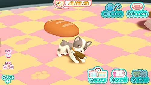 Nippon Columbia Wan Nyan Pet Shop Kawaii Pet To Fureau Mainichi For Nintendo Switch - New Japan Figure 4549767126210 1