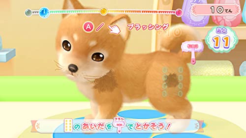 Nippon Columbia Wan Nyan Pet Shop Kawaii Pet To Fureau Mainichi For Nintendo Switch - New Japan Figure 4549767126210 4