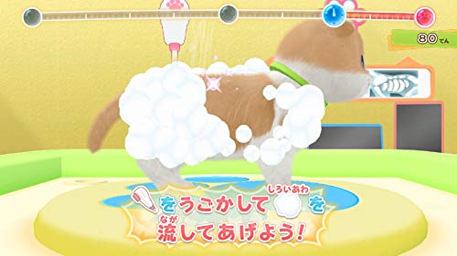Nippon Columbia Woof Meow Animal Hospital An Important Job To Help Pets Nintendo Switch - New Japan Figure 4549767095820 7