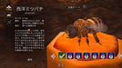 Oizumi Amuzio Bee Simulator Nintendo Switch - New Japan Figure 4571331332710 3