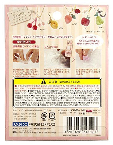 Padico 404118 Résine Souple Moule Fruits Accessoires Matériel