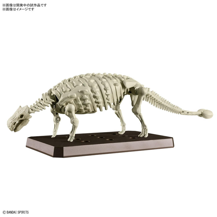 Bandai Spirits Planosaurus Ankylosaurus Model