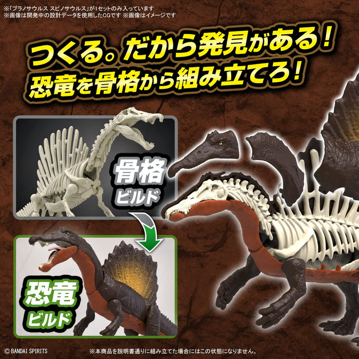 Bandai Spirits Japan Planosaurus Spinosaurus Modèle en plastique à code couleur