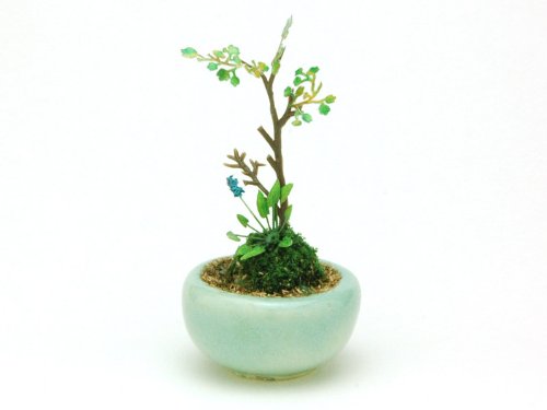 PLATZ Bonn05 Die Bonsai Marubachi Bepflanzung Hellblau Fertigmodell im Maßstab 1:12