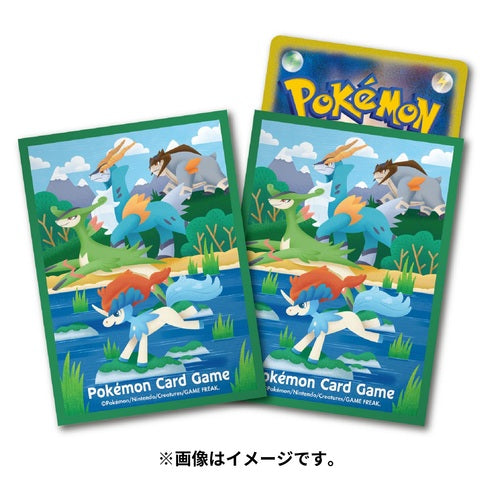 Pokemon Card Game Deck Shield Keldeo