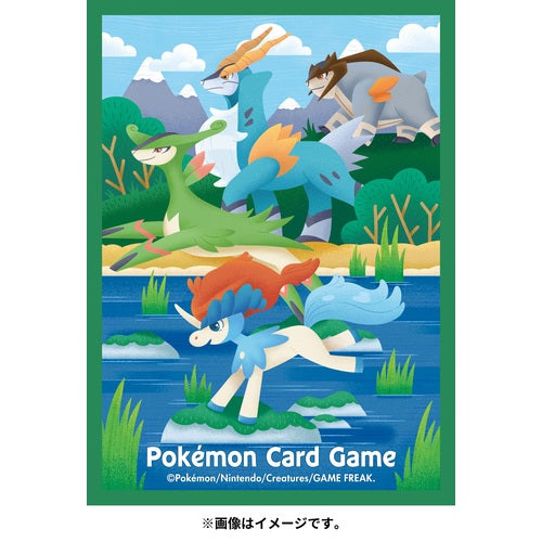 Pokemon Card Game Deck Shield Keldeo