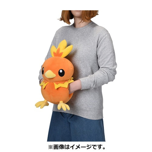 Pokemon Center Original Hand Muff Plush Toy Warm And Warm Achamo Japan Figure 4521329340982 4