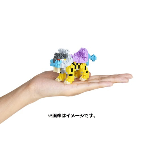 Pokemon Center Original Nanoblock Raiko Japan Figure 4972825221655 3