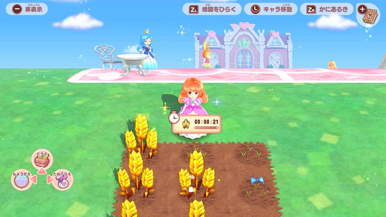 Pretty Princess Magical Garden Island Switch - Nippon Columbia Japon
