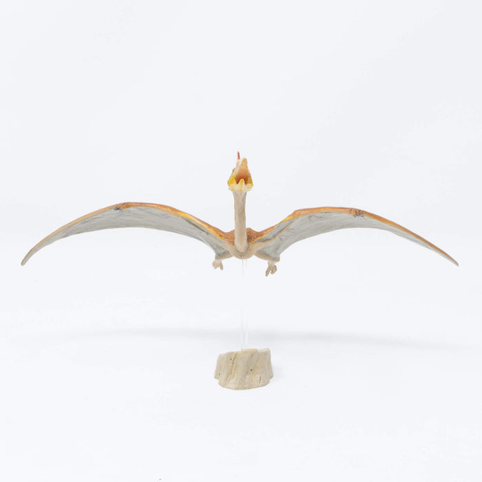 Favorite Fdw-019 Quetzalcoatlus Soft Model