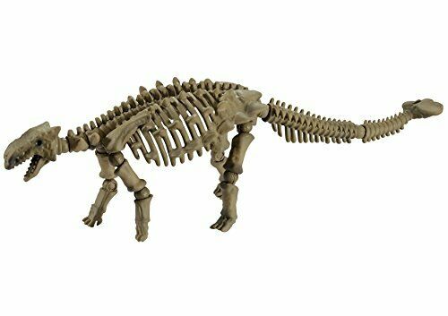 Re-ment Pose Skeleton Dinosaur Series 106 Ankylosaurus - Japan Figure