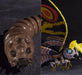 S.h.monsterarts Godzilla Vs Mothra Adult & Larva Special Color Figure Bandai - Japan Figure