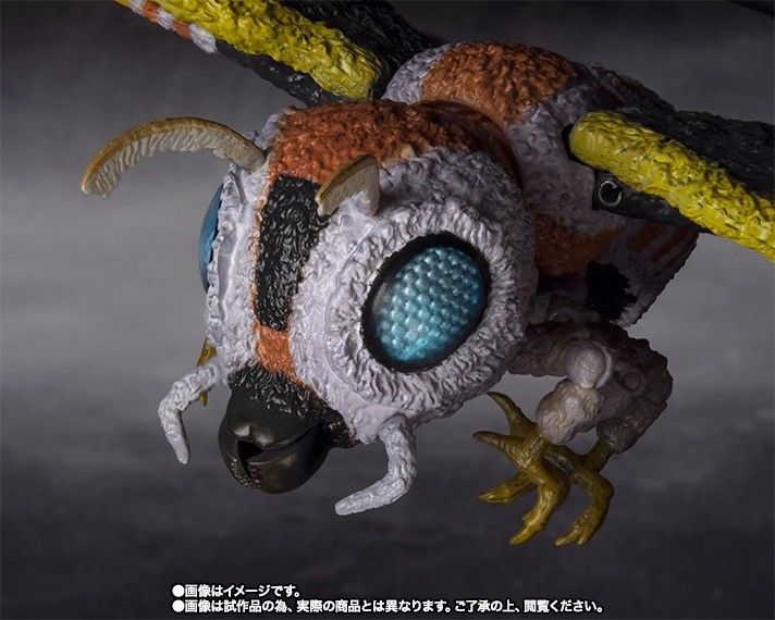 Shmonsterarts Godzilla Vs Mothra Adult &amp; Larva Special Color Figur Bandai