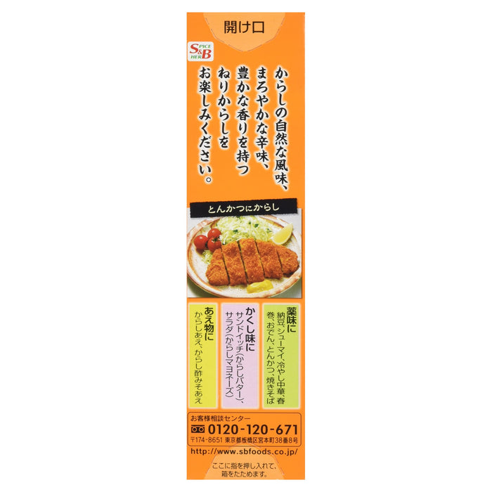 S&B Neri Mustard 43G Japanese Spices