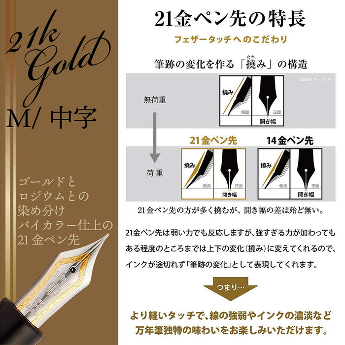 SAILOR Professional Gear Silver Fountain Pen Black M 11-2037-420