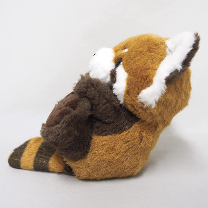 Sanei Boeki Kyunkyun Cologne Red Panda Stuffed Toy W10xD12xH12cm