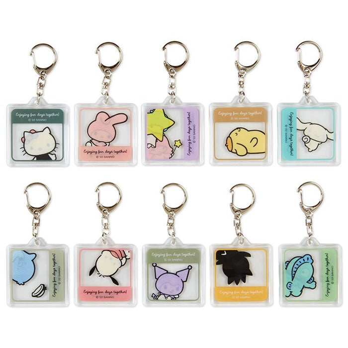 Porte-clés secret en acrylique avec personnages de Sanrio (conception simple)