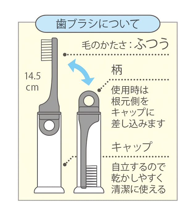 Skater Joint Toothbrush W/ Dental Case Normal Bristles 14.5Cm My Neighbor Totoro Ghibli Japan Trks1-A