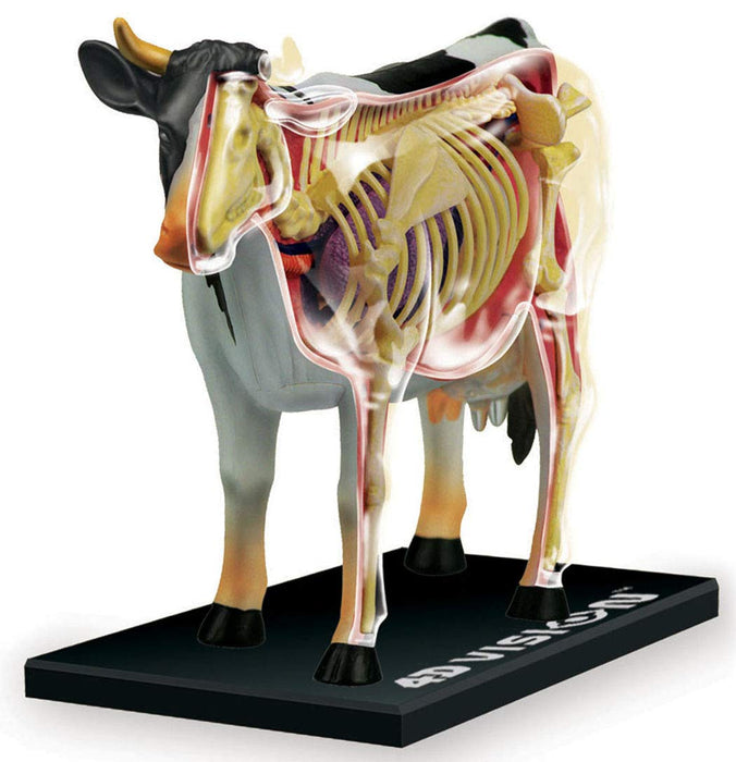 AOSHIMA 78198 4D Vision Nr. 3 Kuh-Anatomie-Modell Kit ohne Maßstab