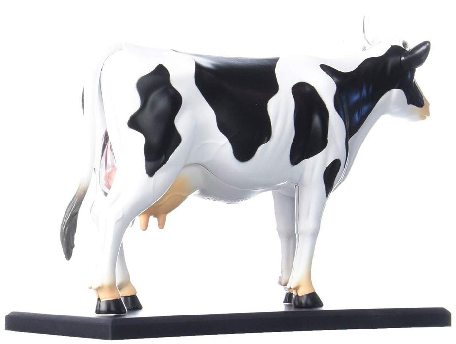 AOSHIMA 78198 4D Vision No.3 Kit de modèle d'anatomie de vache sans échelle