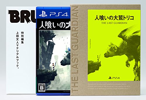 Sony The Last Guardian [Firstpress Limited Edition] Ps4 Sony Playstation - Used Japan Figure 4948872320160