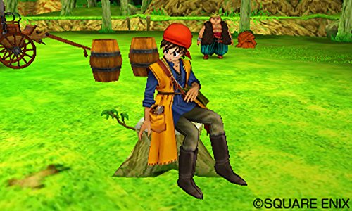 Square Enix Dragon Quest Viii: Sora To Umi To Daichi To Norowareshi Himegimi 3Ds - Used Japan Figure 4988601009232 5