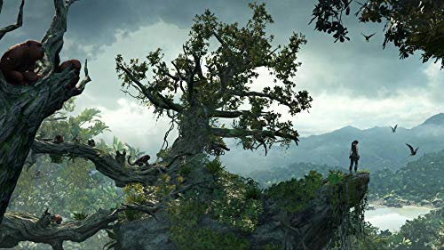Square Enix Shadow Of The Tomb Raider Definitive Edition Sony Ps4 Playstation 4 - New Japan Figure 4988601010467 7
