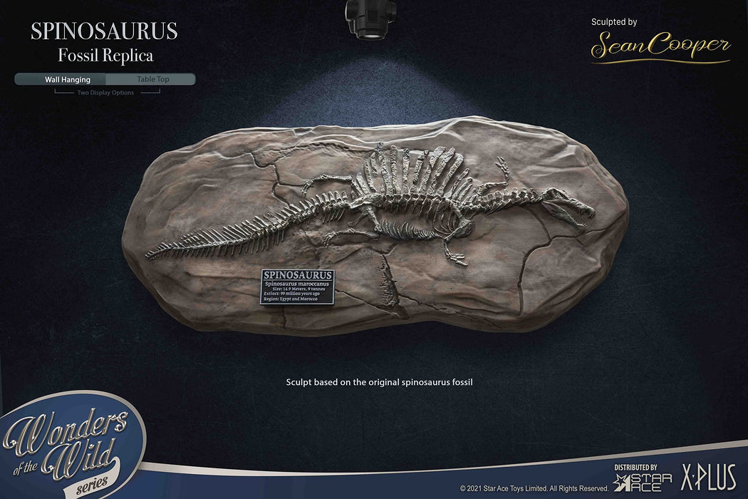 Star Ace Toys Spinosaurus Fossil Replica Figure 200X370X30Mm Japan