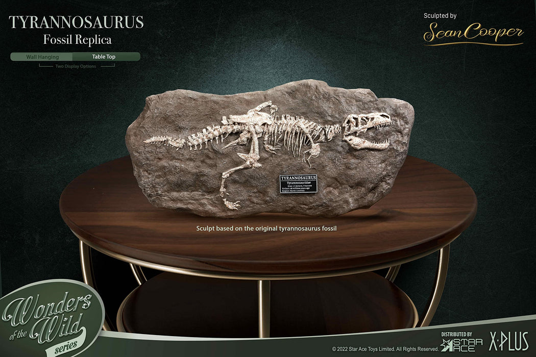 Star Ace Toys Tyrannosaurus Rex Fossil Replica Figure 210X450X40Mm Japan