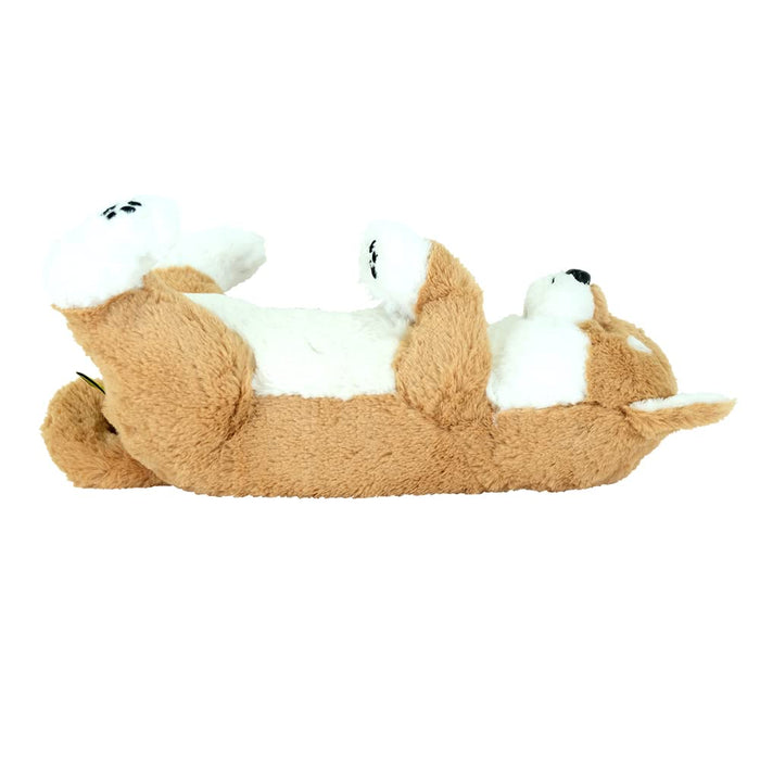 Sun Lemon P-8362 Shiba Inu Lap Dog Sleeping