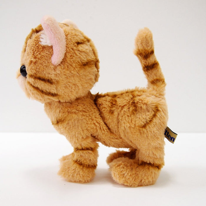 SUNLEMON Plush Doll Kitten American Shorthair Brown Size S Tjn
