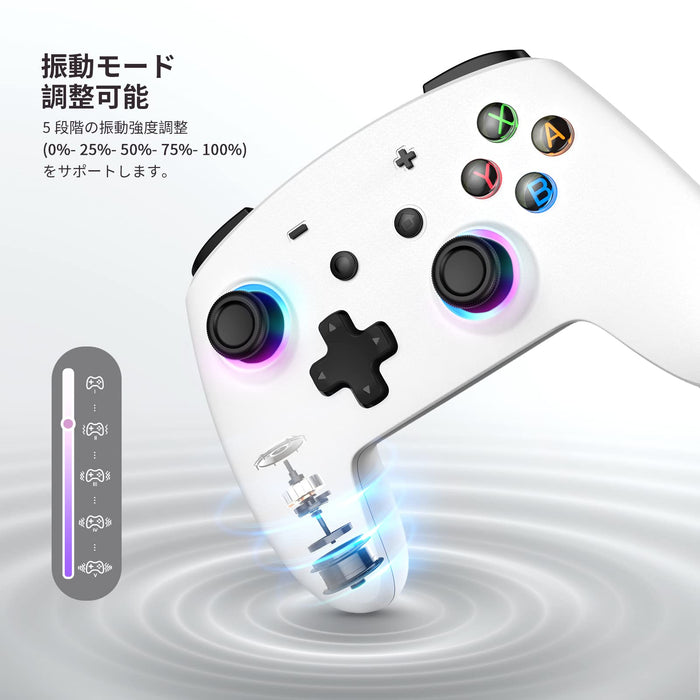 Echtpower Switch Controller: Bluetooth Double Vibration 6 Axis Gyro Continuous Fire Long Time Use Compatible With Switch/Switch Lite/Switch Oled/Windows/Android/Ios