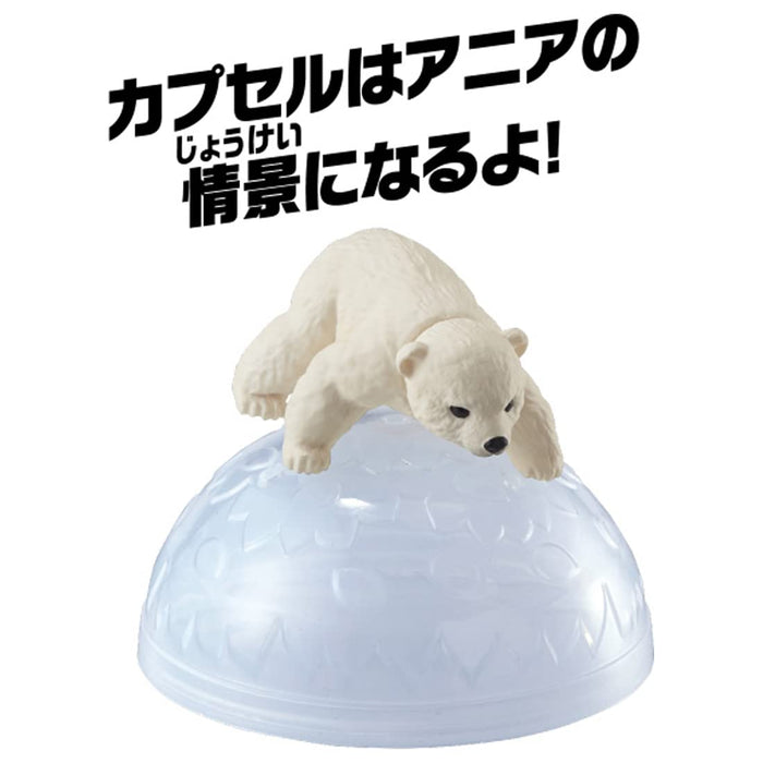 Takara Tomy Ania AC-10 Polar Bear Toy Ideal Dinosaur Toy for Children Ages 3+