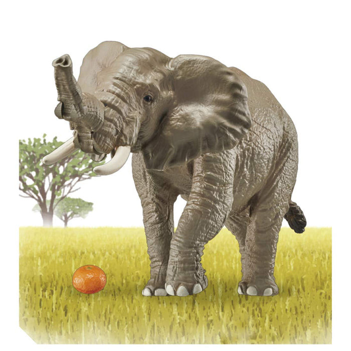 TAKARA TOMY As-02 Animal Adventure Éléphant d'Afrique avec figurine orange