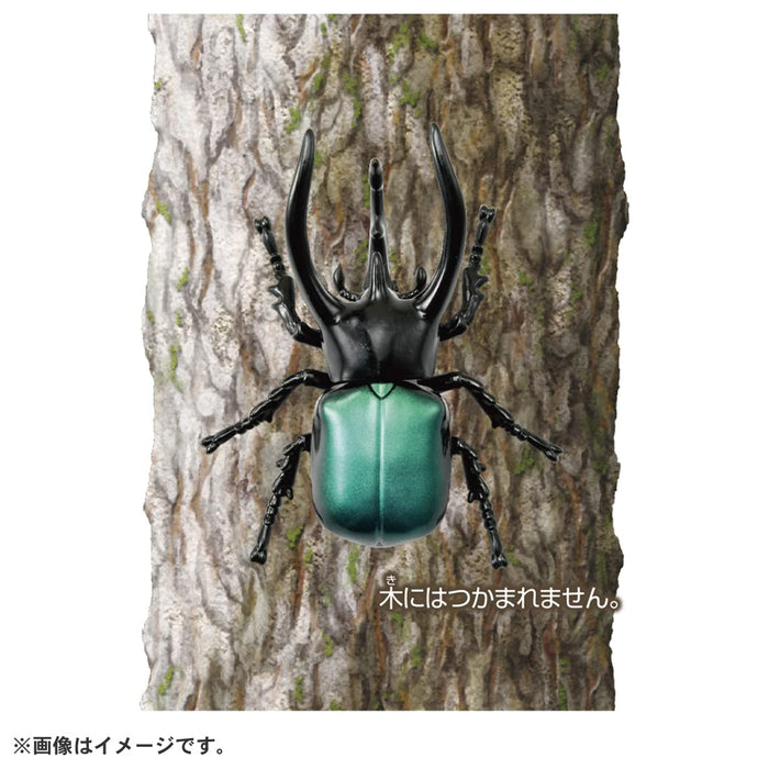 Takara Tomy Ania AS-39 Caucasus Beetle Toy for Kids Over 3 Years Old