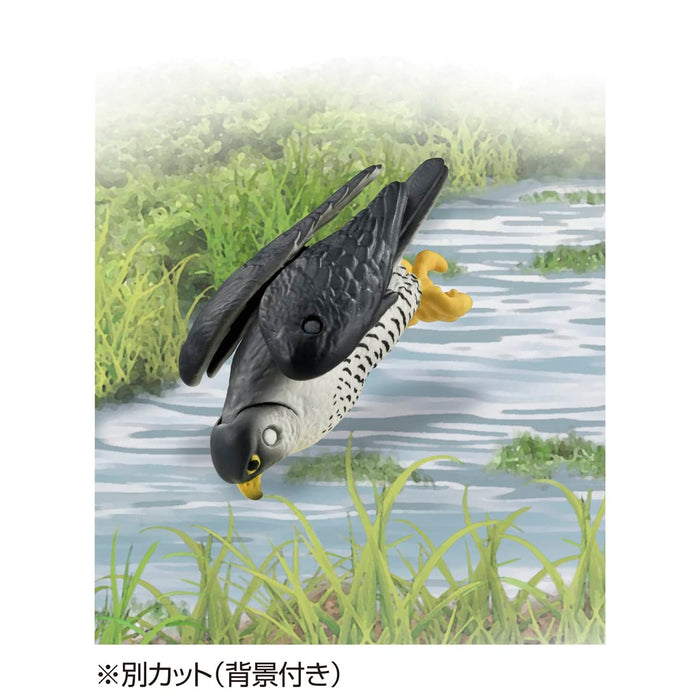 Takara Tomy Ania As-44 Falcon Animal Dinosaur Toy Japan Age 3+