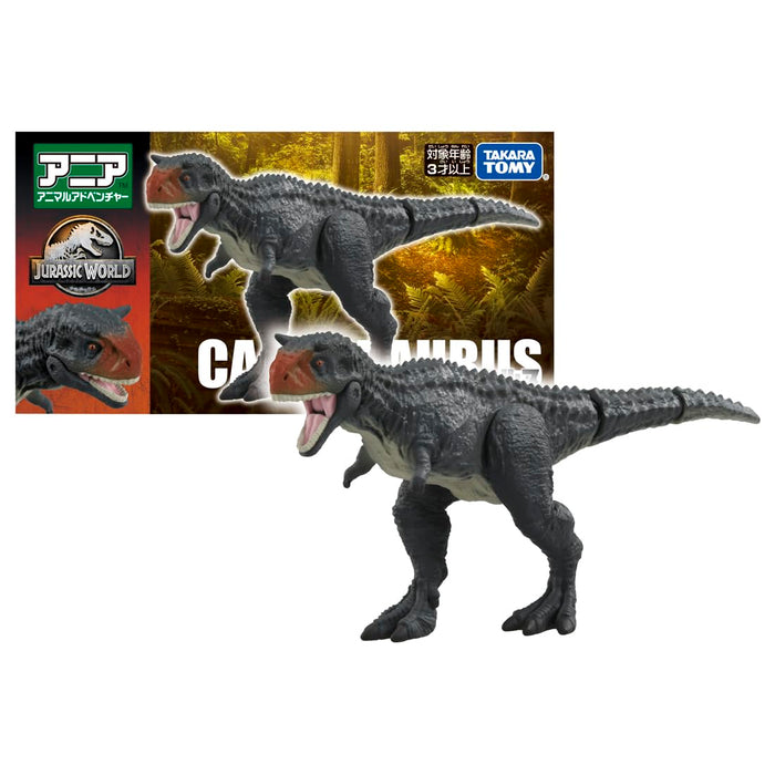 Takara Tomy Ania Jurassic World Carnotaurus Dinosaur Toy for Kids 3+