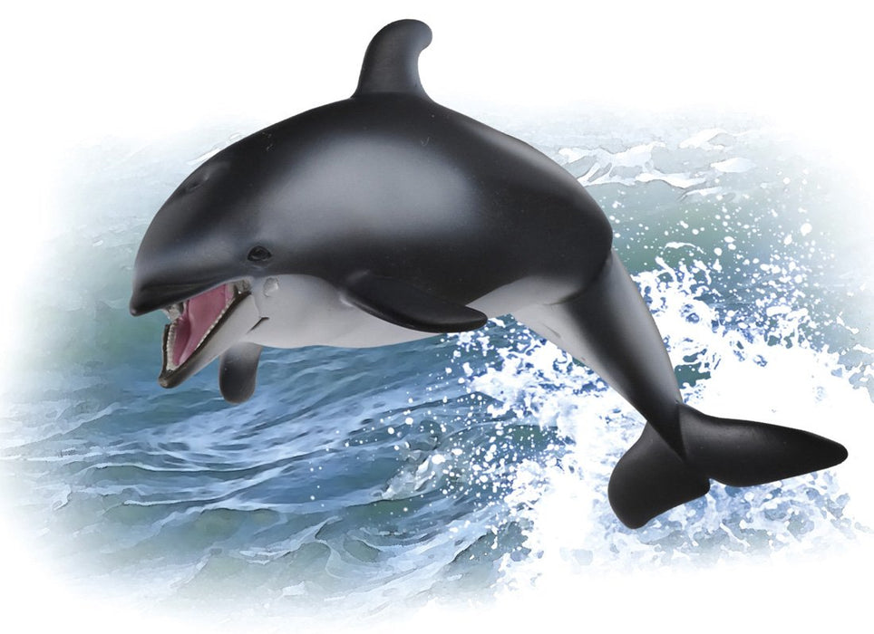 Takara Tomy Ania AS-19 White-Faced Dolphin Realistic Toy Suitable Ages 3 and Up Safety Certified