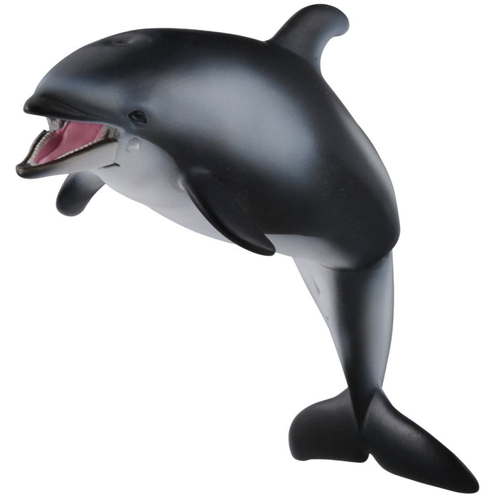 Takara Tomy Ania AS-19 White-Faced Dolphin Realistic Toy Suitable Ages 3 and Up Safety Certified