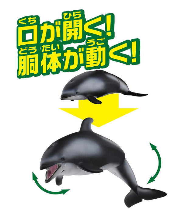 Takara Tomy Ania AS-19 White-Faced Dolphin Realistic Toy Suitable Ages 3 and Up Safety Certified